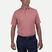 Men's Lee Stripe Polo S/S