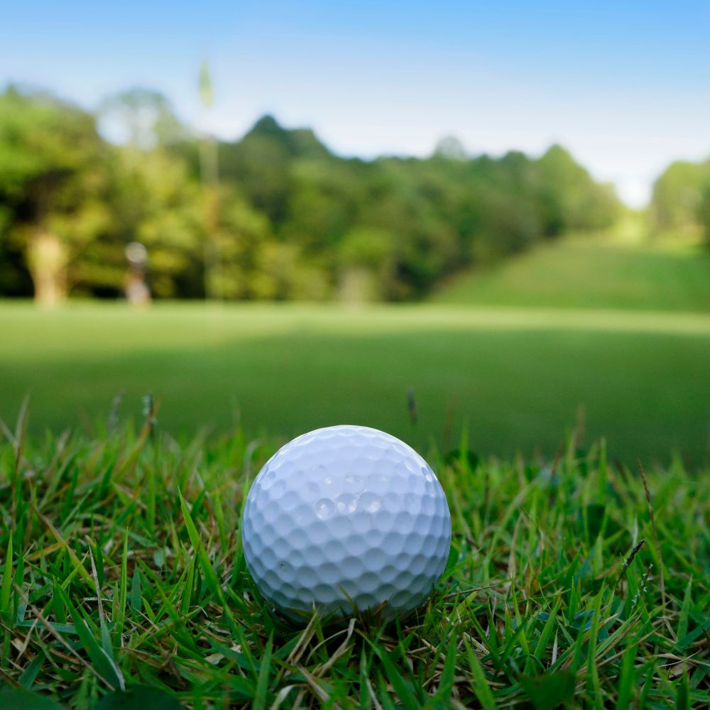 A golf ball rests on green grass on a golf course with a flagstick in the distance, surrounded by trees and a clear blue sky.